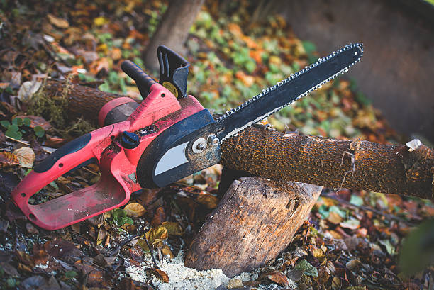 Best Lawn Maintenance Plans  in Halifax, VA